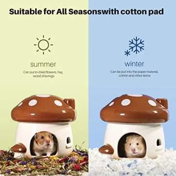 BUCATSTATE Eco Ceramic Hamster Hideout for Small Pets - Large