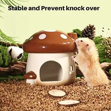 BUCATSTATE Eco Ceramic Hamster Hideout for Small Pets - Large