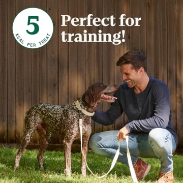 Nutro Crunchy Dog Treats with Real Peanut Butter 16 oz