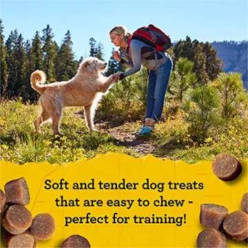 Zuke's Mini Naturals Salmon Dog Treats - Healthy Rewards 6oz