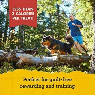 Zuke's Mini Naturals Salmon Dog Treats - Healthy Rewards 6oz