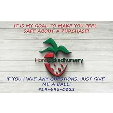 Buy 10 Honey Strawberry Plants - Sweet Organic Berries!