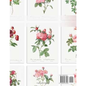 Redoute Roses Botanical Prints for Wall Decor: Vintage Floral Art Collection