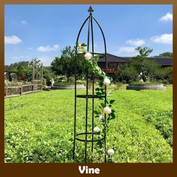 Sturdy 6.3ft Metal Garden Trellis for Climbing Plants