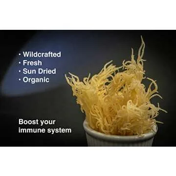 Dried Sea Moss (3 Oz (Pack of 5)) - Caribbean Superfood - Wildcrafted Seedstock - Ethically Harvested - Makes Over 10 Quarts Gel