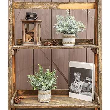 Der Rose 4 Pack Small Fake Plants Indoor Mini Artificial Plants for Home Office Farmhouse Decor Bathroom Bedroom Kitchen Desk Decor