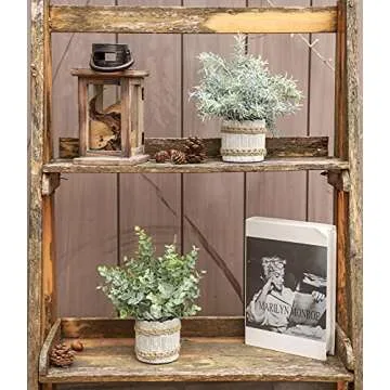 Der Rose 4 Pack Small Fake Plants Indoor Mini Artificial Plants for Home Office Farmhouse Decor Bathroom Bedroom Kitchen Desk Decor