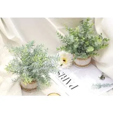 Der Rose 4 Pack Small Fake Plants Indoor Mini Artificial Plants for Home Office Farmhouse Decor Bathroom Bedroom Kitchen Desk Decor