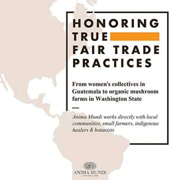 Anima Mundi The Mind Energizing Brain Tonic - Lion's Mane Mushroom Supplement - Organic Adaptogenic Powder for Mood, Memory and Brain Support - Formulated with Ginkgo & Mucuna (4.5oz)