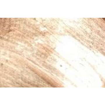 Makeup Revolution Liquid Highlighter ~ Bronze Gold