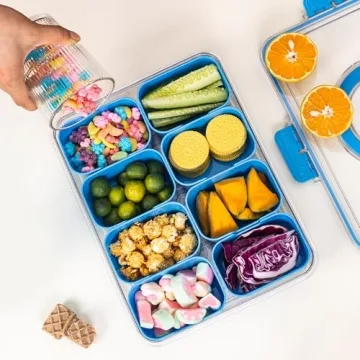 Divided Snack Tray with Lid and Handle - Cerulean