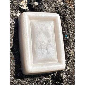 Black Diamond Pigments® | (Silver Pearl) Pigment is a Premium Professional, Non-Toxic mica with unrivaled Color Saturation That Blends with epoxy Resin, Nail Polish, Slime, Lip Gloss and Acrylic