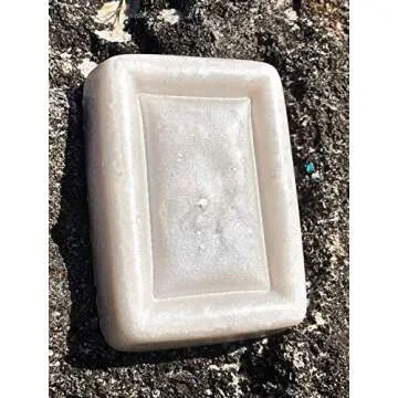 Black Diamond Pigments® | (Silver Pearl) Pigment is a Premium Professional, Non-Toxic mica with unrivaled Color Saturation That Blends with epoxy Resin, Nail Polish, Slime, Lip Gloss and Acrylic