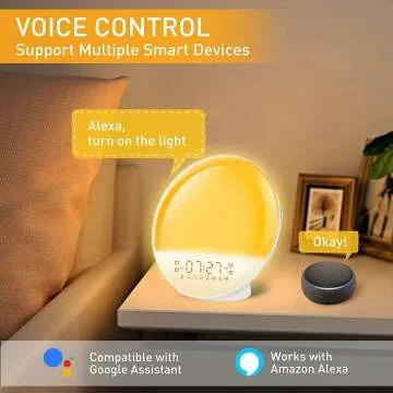Te-Rich Sunrise Alarm Clock