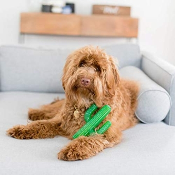 ZippyPaws ZippyTuff Cactus Chew Toy - Durable Dog Squeaker