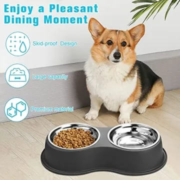 Epetslove Double Dog Bowls with Non-Slip Resin Station