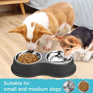 Epetslove Double Dog Bowls with Non-Slip Resin Station