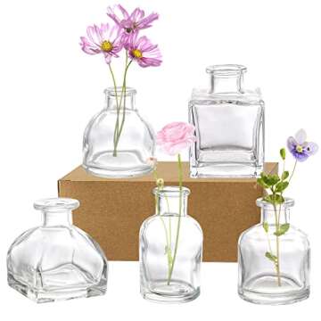 Hedume Set of 10 Small Glass Flower Vases, Clear Glass Bud Vases, Decorative Rustic Floral Vases, Mi...