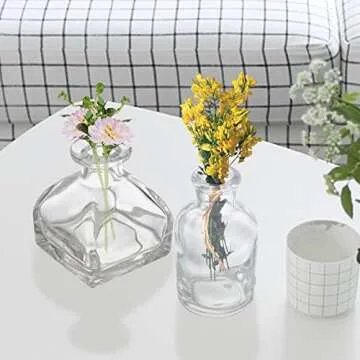 Hedume Set of 10 Small Glass Flower Vases, Clear Glass Bud Vases, Decorative Rustic Floral Vases, Mini Table Floral Vase for Home Decor Centerpieces, Events, Vintage Look