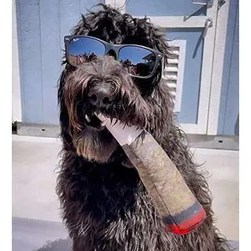 Nestpark Doggy Doobie - Funny Dog Toys - Plush Squeaky Toys for Medium, Small and Large - Cool Stuffed Cute Gifts for Dog Birthday