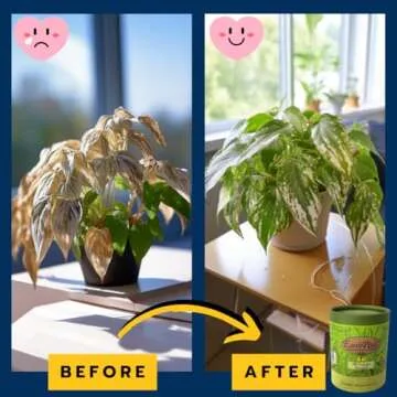 EarthPods Organic Indoor Plant Fertilizer Spikes