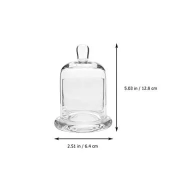 SEWACC Glass Dome with Base 2 Sets Mini Cake Stand Display Dome Cloche Glass Candle Cup Clear Glass Bell Jar Cover for Dessert Cheese Plants Candy Succulents 12.8cm