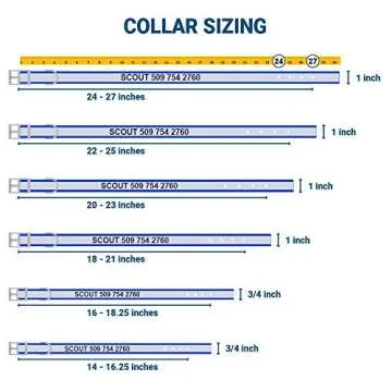 GoTags Reflective Waterproof Dog Collars Personalized, Engraved with Pet Name and Phone Number, Extra Durable BioThane Collar Resistant to Dirt, Oils and Moisture, Odor-Proof