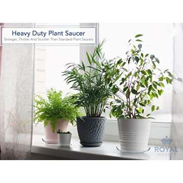 Royal Imports 6" Clear Plastic Saucer Plant Drip Tray, Low Pie Plate, Floral Flower Dish, Wedding, P...