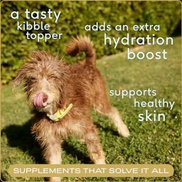 Native Pet Chicken Bone Broth Powder for Dogs & Cats, 11.5 oz - Pet Gravy Food Topper for Picky Eaters – Cat & Dog Bone Broth Powder - Protein Rich Pet Food Supplement & Collagen Source