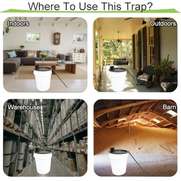 Humane Bucket Lid Mouse Trap for Effective Rodent Control