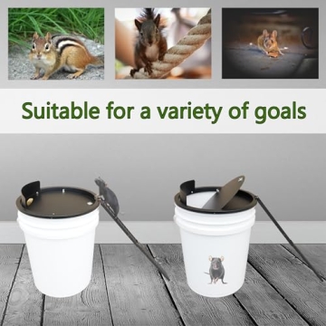 Humane Bucket Lid Mouse Trap for Effective Rodent Control