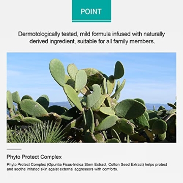 AHC Sun Stick SPF50+ PA++++ - Natural Protection On-The-Go