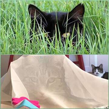 Sheer Fun, Cat Toy, Renews Old Toys, Engages Hunting Instincts, Made in USA, Ball, Versatile, Quiet, Crinkle Edges, Cats, Kittens, playmat, Bed, Hide and Seek, Blue & White, 27"x37"