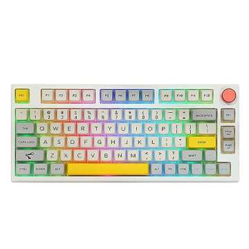 EPOMAKER TH80 Pro 75% Hot Swap RGB 2.4Ghz/Bluetooth 5.0/Wired Gaming Keyboard, with 4000mah Battery, PBT Keycaps, Knob Control for Windows/Mac PS5 PS4 Xbox