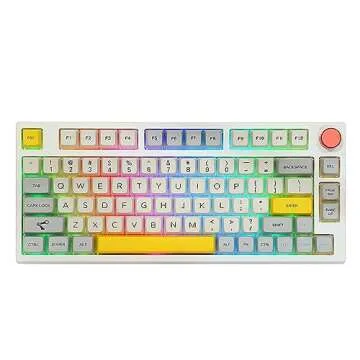 EPOMAKER TH80 Pro 75% Hot Swap RGB 2.4Ghz/Bluetooth 5.0/Wired Gaming Keyboard, with 4000mah Battery, PBT Keycaps, Knob Control for Windows/Mac PS5 PS4 Xbox