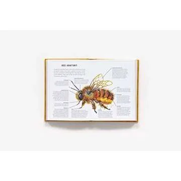 The Little Book of Bees: An Illustrated Guide to the Extraordinary Lives of Bees