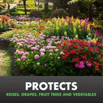 Effective Japanese Beetle Trap with Dual Lure System