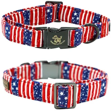 Patriotic Independence Dog Collar for 4th of July Celebrations