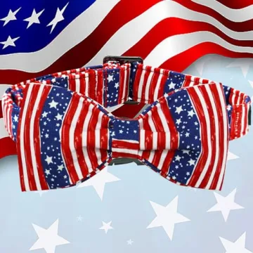Patriotic Independence Dog Collar for 4th of July Celebrations