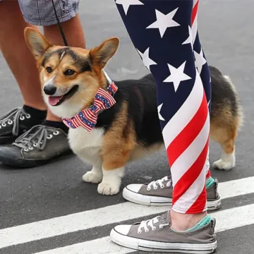 Patriotic Independence Dog Collar for 4th of July Celebrations