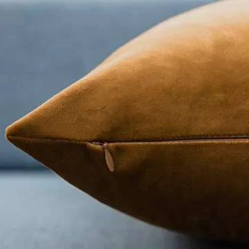 Luxurious JUSPURBET Velvet Pillow Covers 20x20 Set of 2