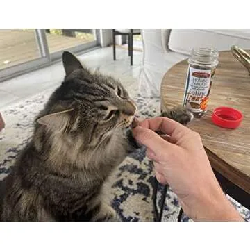 Bench & Field Holistic Natural Healthy Kitty Cat Treats | Crunchy Fish-Shaped Bites | Delicious Seafood Flavored Snack, 3-Ounce (Pack of 3 Bottles)