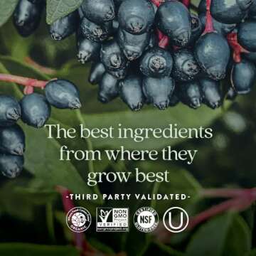 New Chapter Zinc Supplement for Immune Support & Skin Health