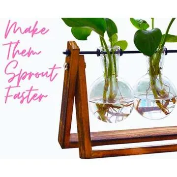 Plant Propagation Station Terrarium with Wooden Stand – Plant Terrarium Stand with 4 Glass Planters for Indoor Plants – Air Plant Holder for Women