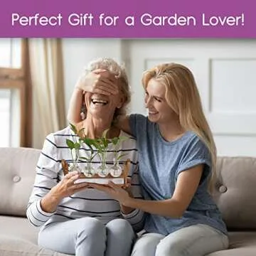 Plant Propagation Station Terrarium with Wooden Stand – Plant Terrarium Stand with 4 Glass Planters for Indoor Plants – Air Plant Holder for Women