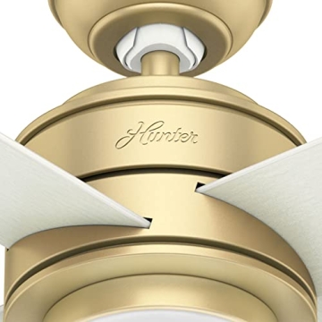 Hunter Fan Company, 59320, 52 inch Hepburn Modern Brass Ceiling Fan with LED Light Kit and Wall Control