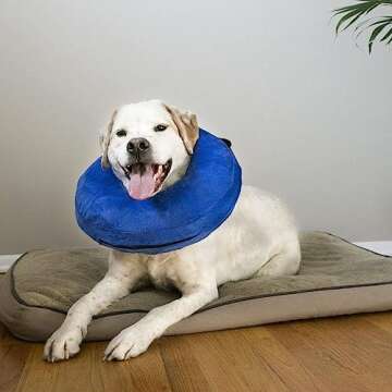 KONG Cloud E-Collar for Comfortable Dog Recovery