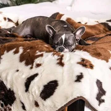 PupProtector Waterproof Throw Blanket for Dogs and Cats