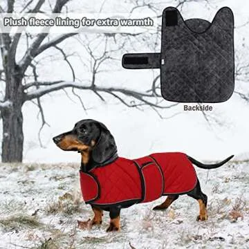 Geyecete Warm Thermal Quilted Dachshund Coat, Dog Winter Coat with Warm Fleece Lining, Outdoor Dog Apparel with Adjustable Bands for Medium, Large Dog-Red-S
