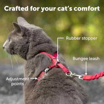 Comfortable PetSafe Come With Me Kitty Harness for Cats